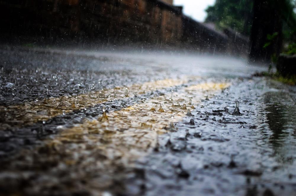 雨天駕駛圖4